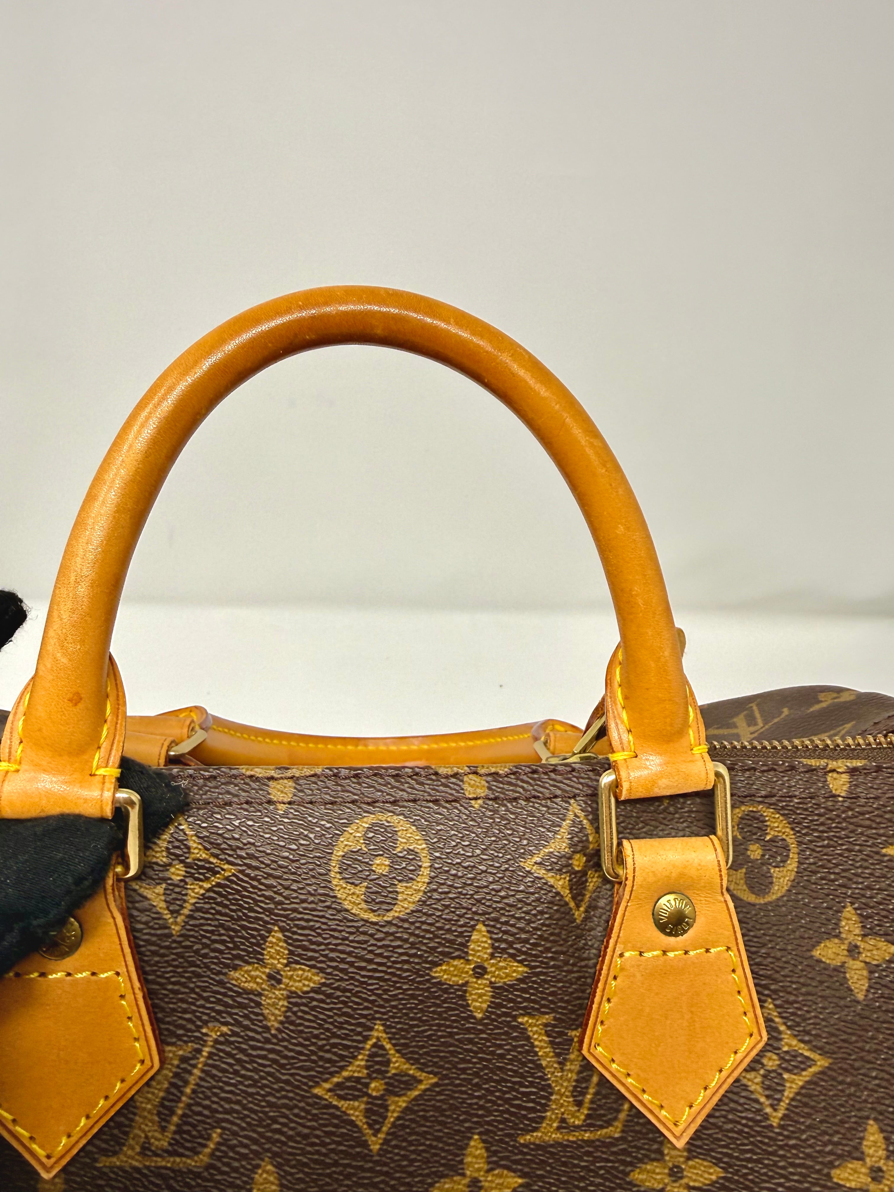 Louis Vuitton Speedy 30 – Monogram Canvas, Vintage 1995