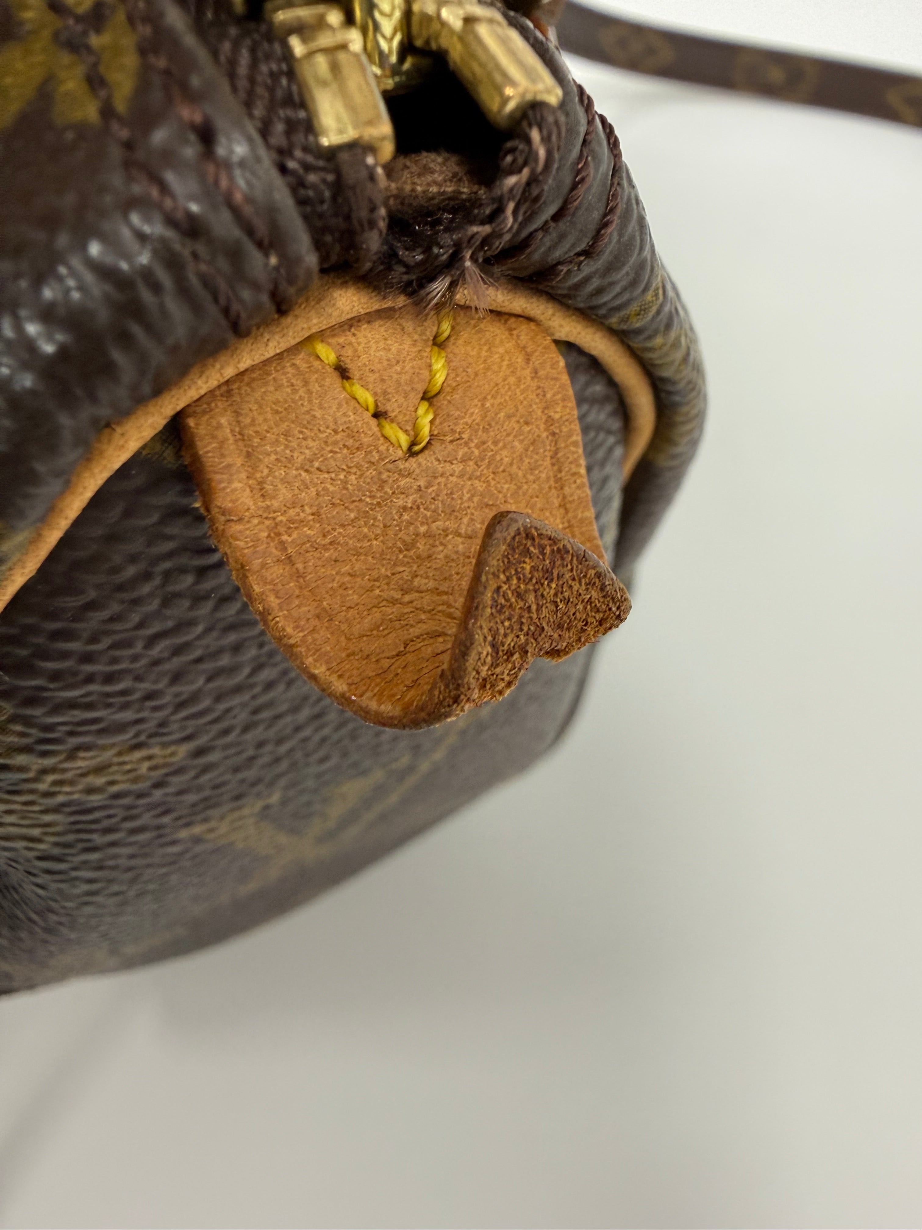 Louis Vuitton Mini Sac HL (Vintage Mini Speedy) Monogram Canvas Crossbody Bag