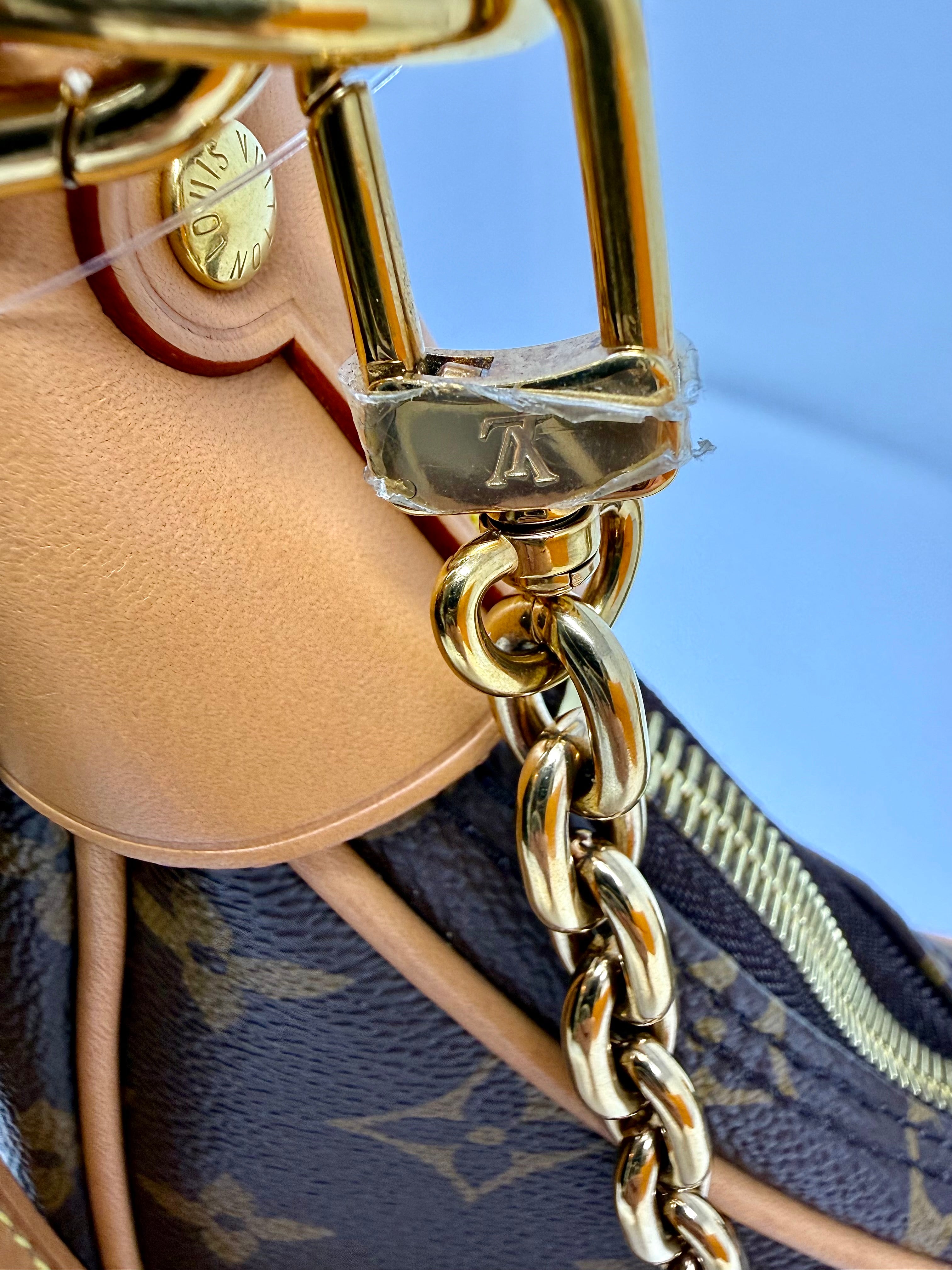 Louis Vuitton Loop Bag – Monogram Canvas, Gold Hardware, Full Set