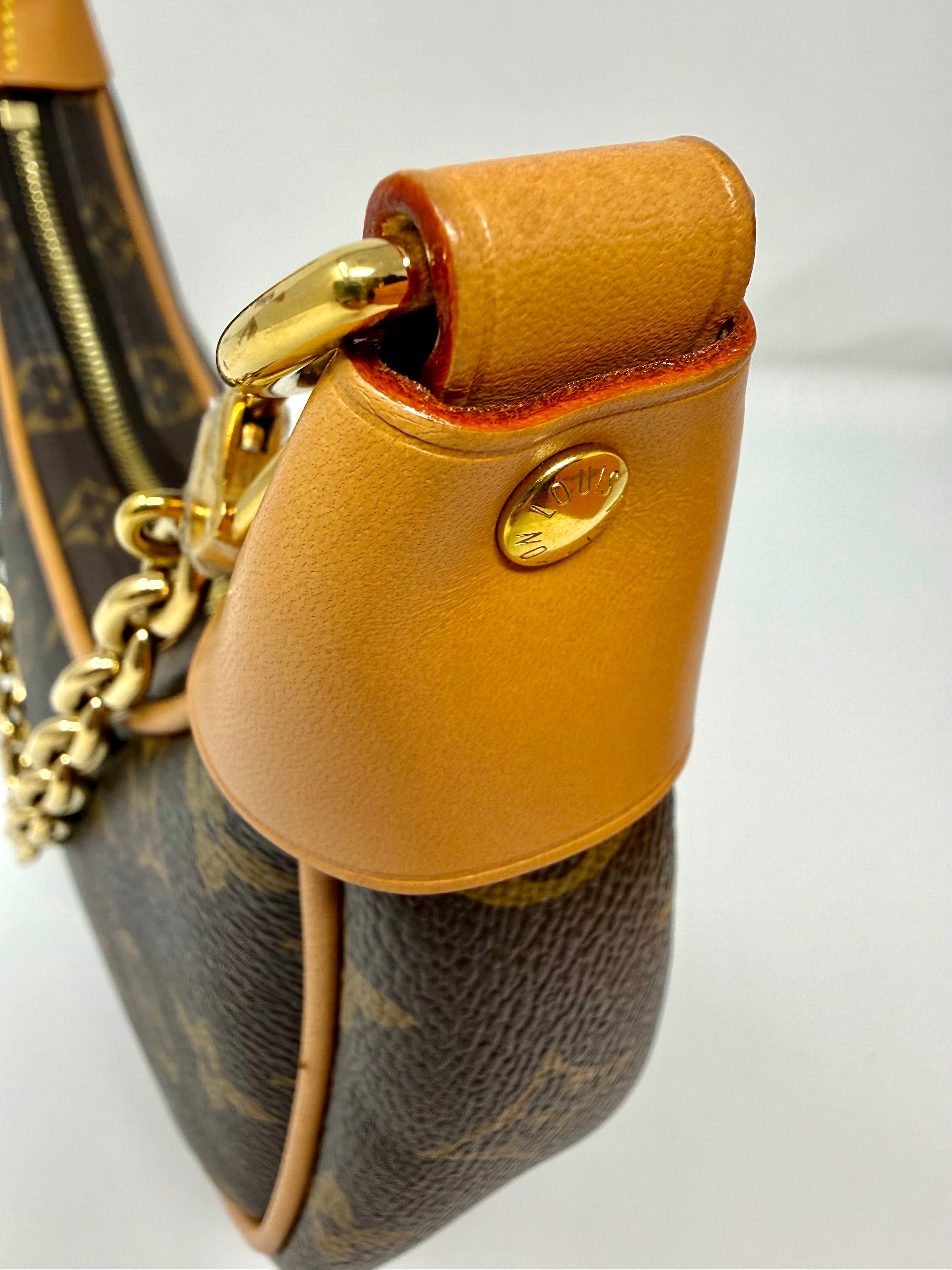 Louis Vuitton Loop Bag – Monogram Canvas, Gold Hardware, Full Set, Like New