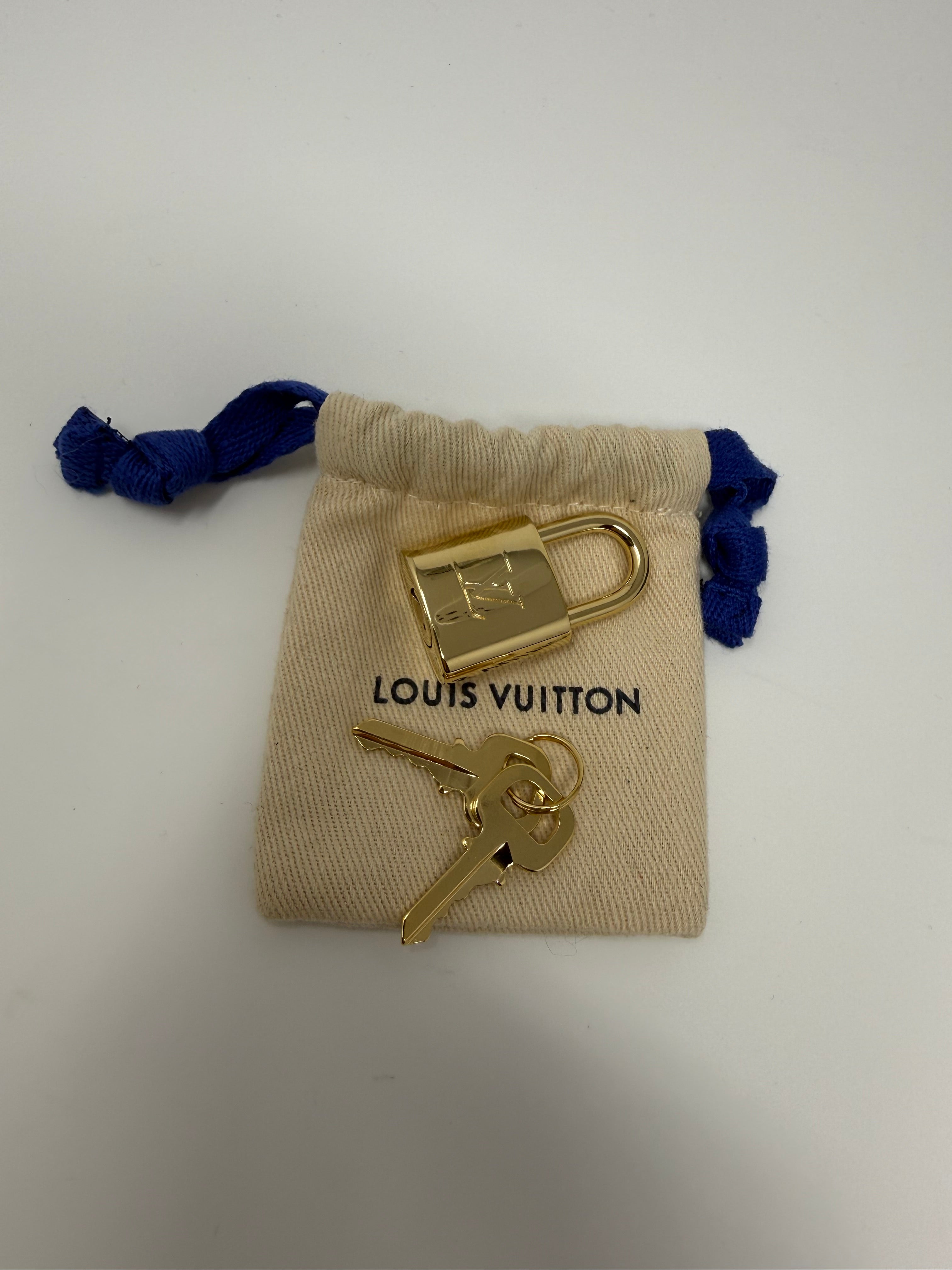 Louis Vuitton Speedy Bandoulière 20 – Monogram Empreinte Dégradé Blue